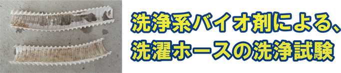 noCIɂ@z[Xʎ