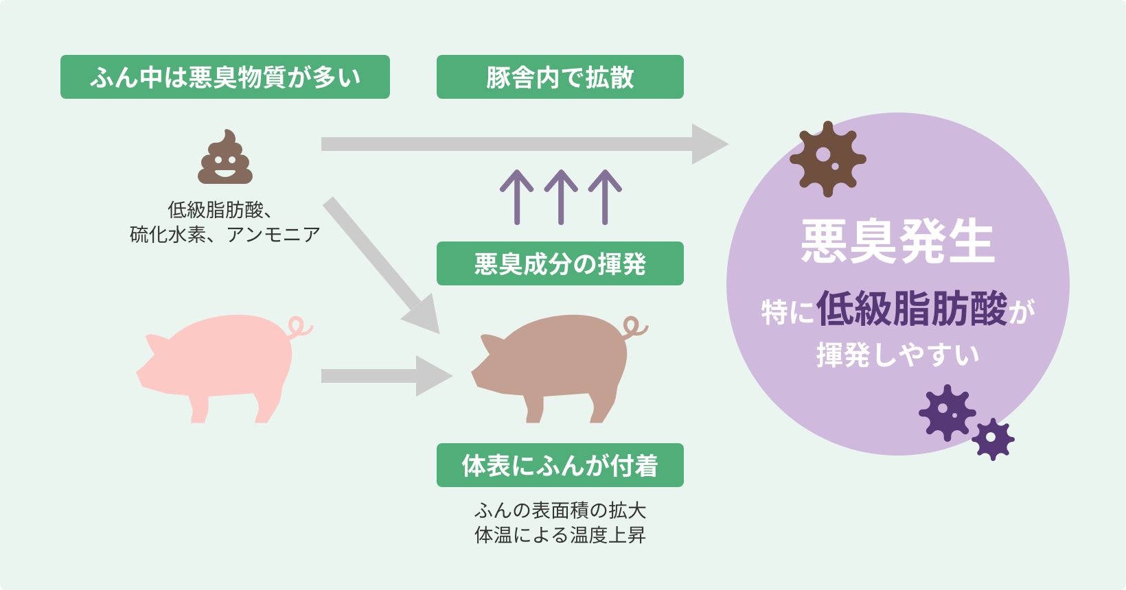 悪臭発生のメカニズム