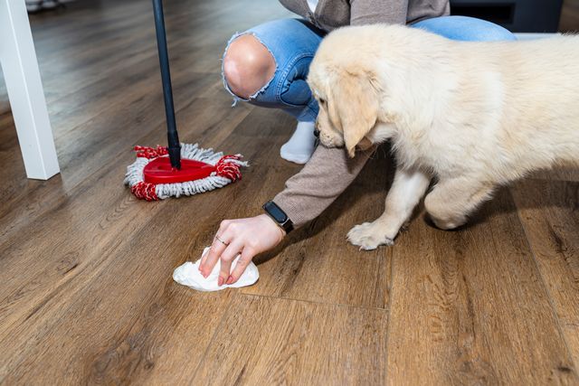 犬 オシっこ フローリング 対策